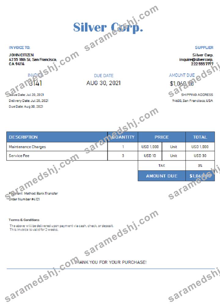 USA Silver Corp. invoice